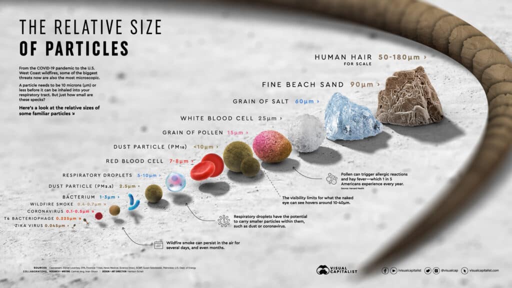 Relative-Size-of-Particles-Infographic